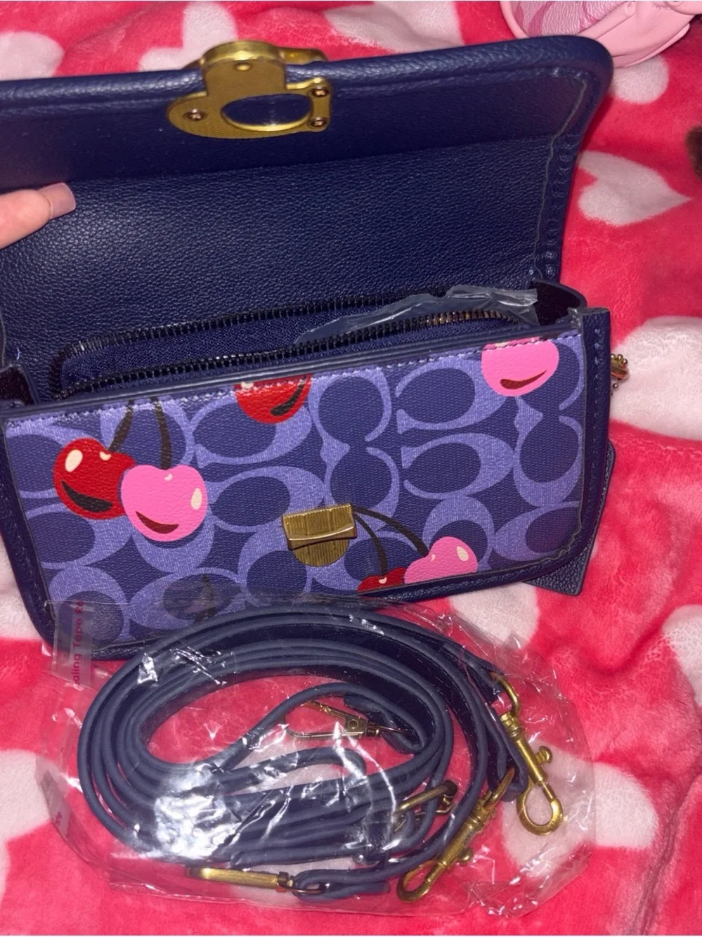 Coach purple signature